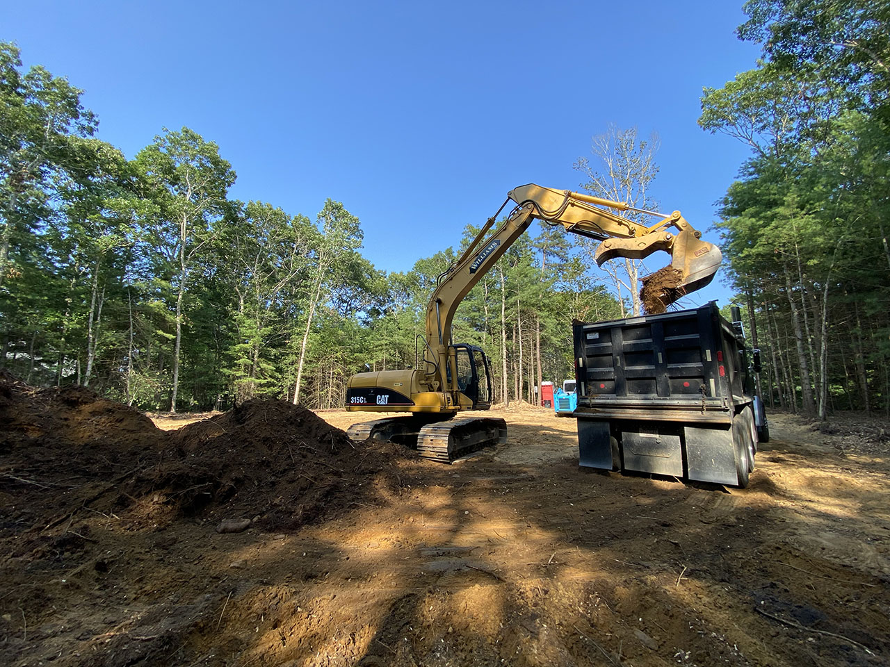 Clearing & New Home